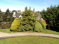 front garden area